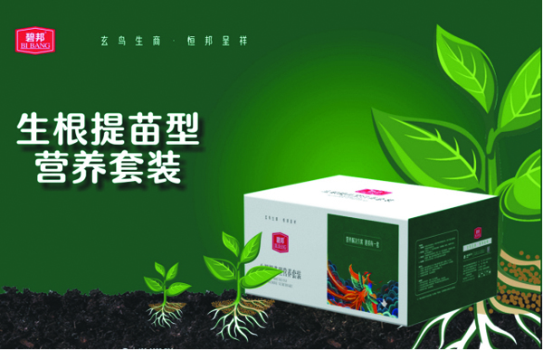 生根提苗就用 碧邦有机多肽氮水溶肥