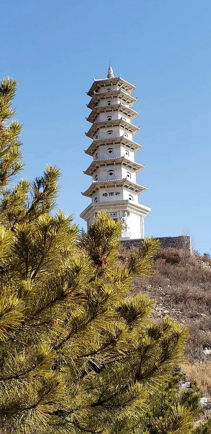 乌龙2.jpg