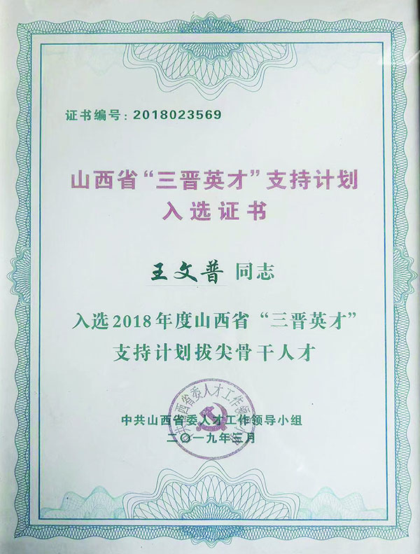 王文普荣誉 (2).jpg