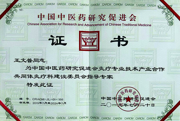 王文普荣誉 (3).jpg