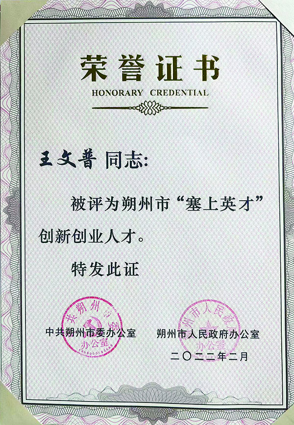 王文普荣誉 (6).jpg