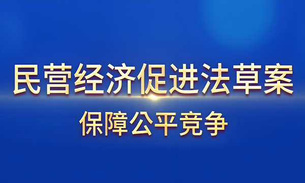 民营经济促进法的出台是推动经济发展的强大动力