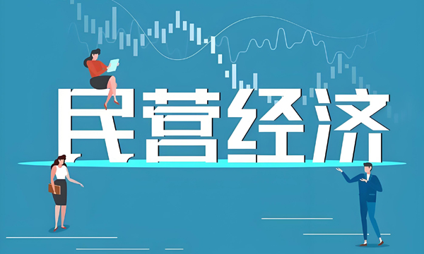 资源资本垄断：民营企业发展的桎梏