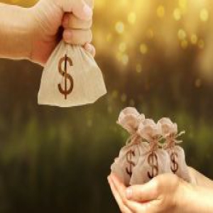 区块链未死！2019区块链+农业或将浴火重生