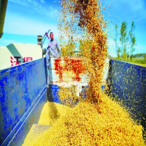 牢牢把住粮食安全主动权