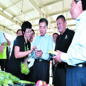 汪洋： 加快互联网在农业中应用 全面提高