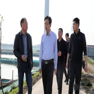 县委书记史玉江率队赴阳澄产业园发展有限公司进行考察
