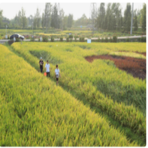 临县农商行打通小微民生“最后一公里”