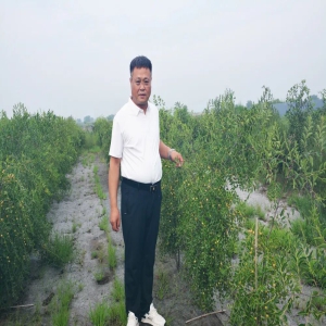 深耕药食同源赋能乡土振兴 吕吉山策划红色